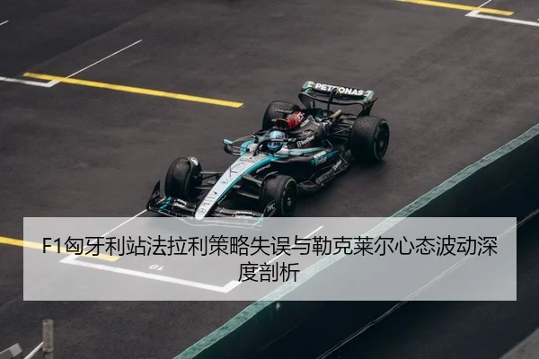 xiong-ya-li-zhan-fa-la-li-ce-lve-shi-wu-yu-lei-ke-lai-er-xin-tai-bo-dong-shen-du-pou-xi-3-937.jpg